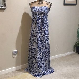 Blue & White Maxi Dress